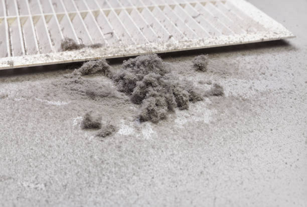 Best Commercial Air Duct Cleaning  in Wilder, ID