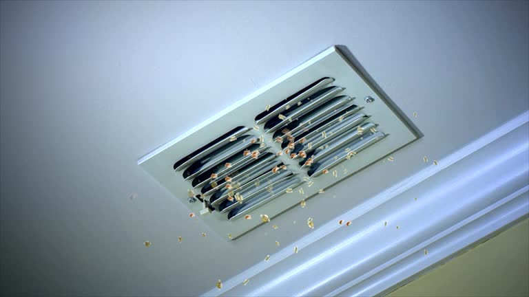 HVAC Maintenance and Cleaning in ID