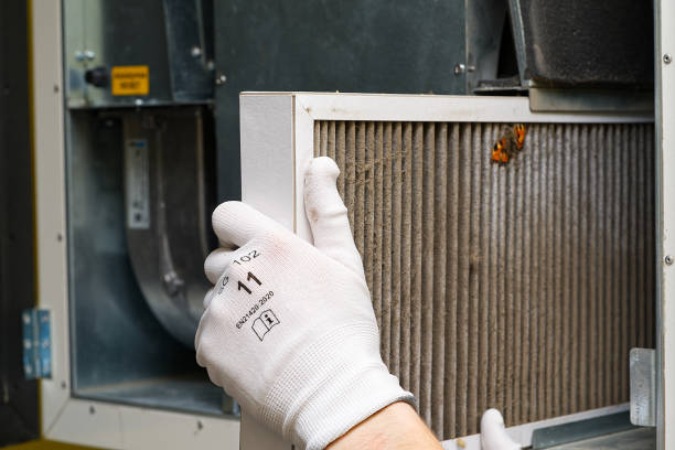 Best Professional Duct Cleaning Services  in Wilder, ID