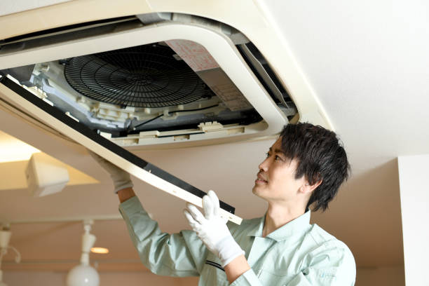 Best Air Vent Cleaning Services  in Wilder, ID